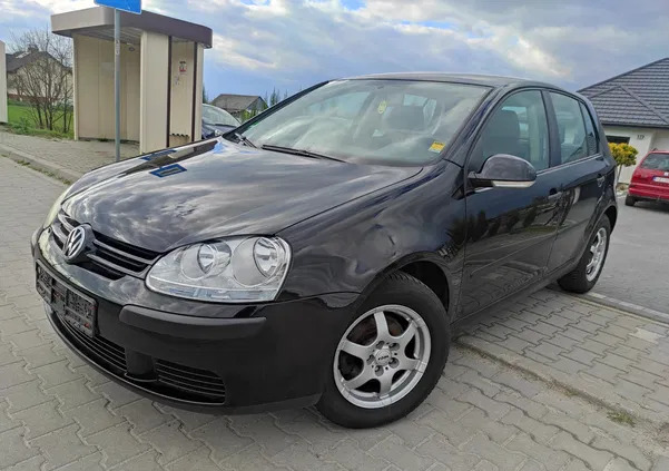 volkswagen Volkswagen Golf cena 13500 przebieg: 179000, rok produkcji 2005 z Krasnystaw